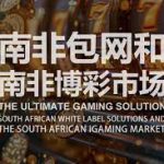 白菜论坛用户行为分析报告：洞察社区活力之源-博彩投注网-博彩技巧-博彩策略